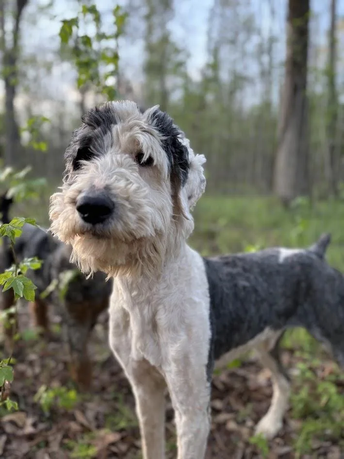 River Banks thumbnail 5