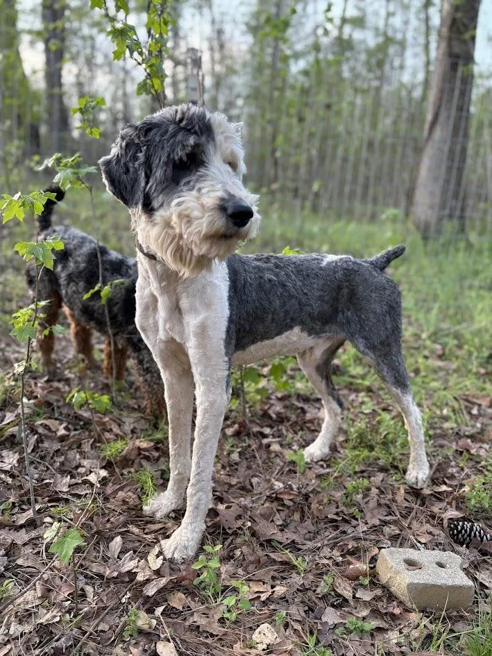 River Banks thumbnail 6