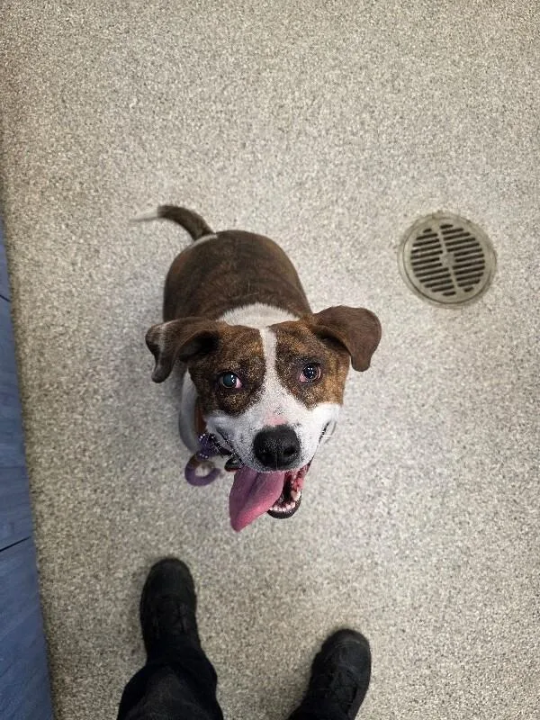 Emmie Lou thumbnail 2