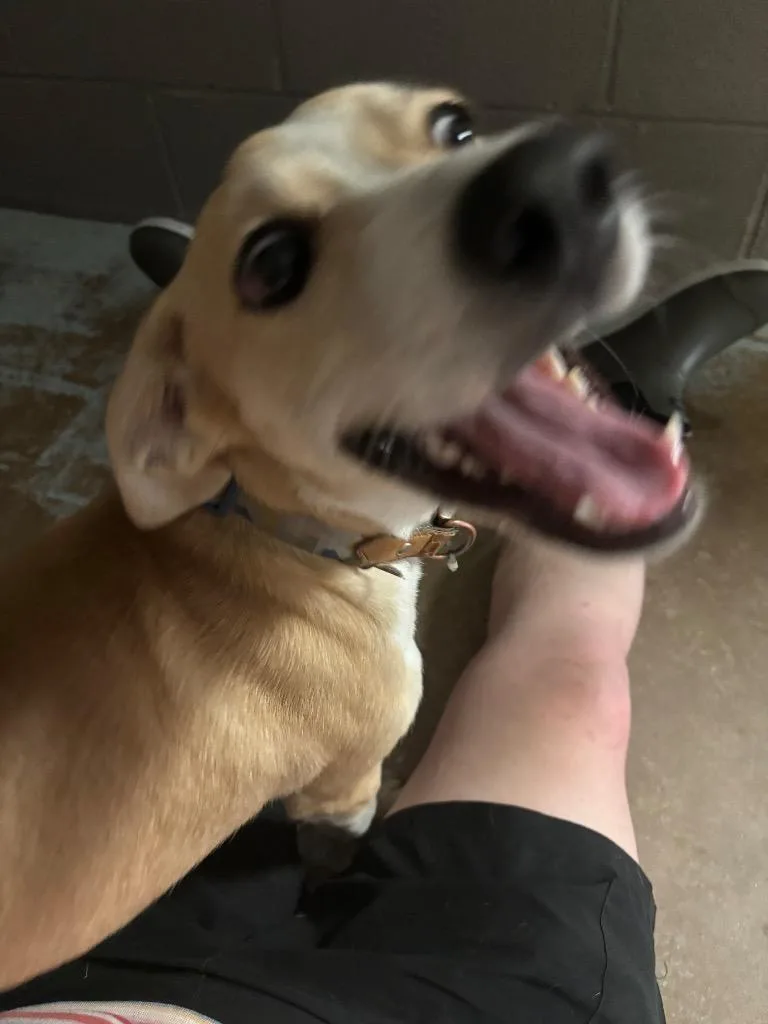 Buffy thumbnail 3