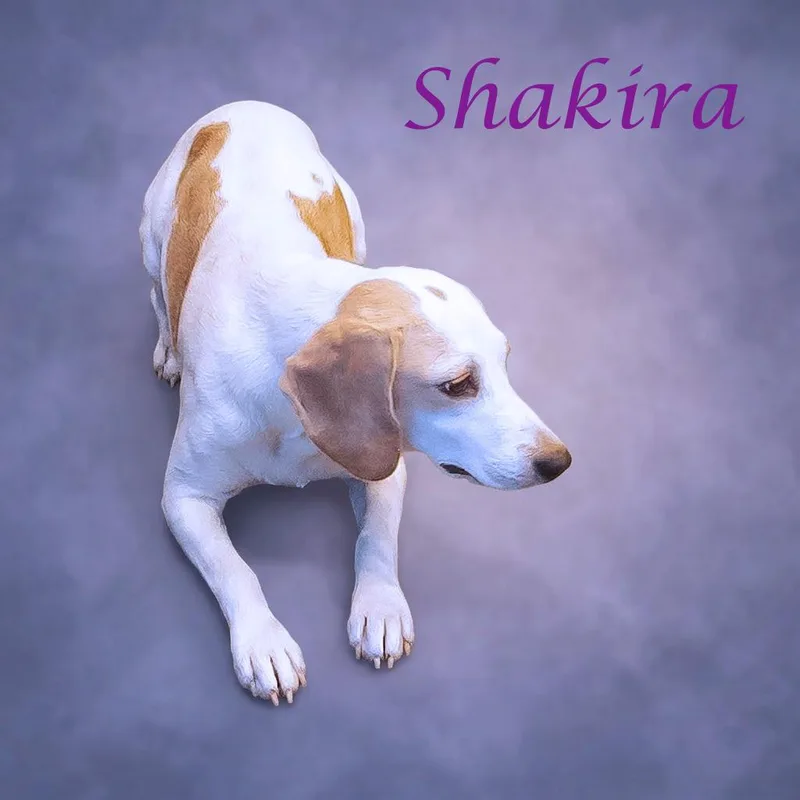 Shakira D thumbnail 2