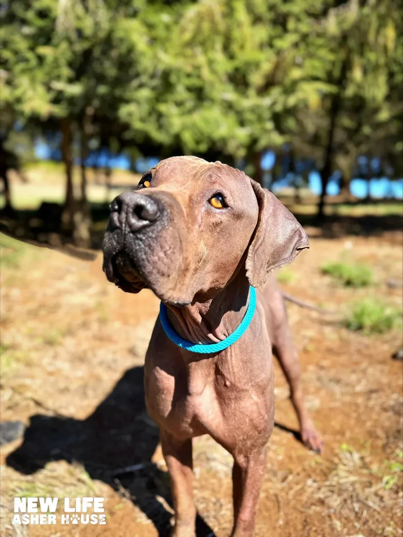 Sanderson thumbnail 2