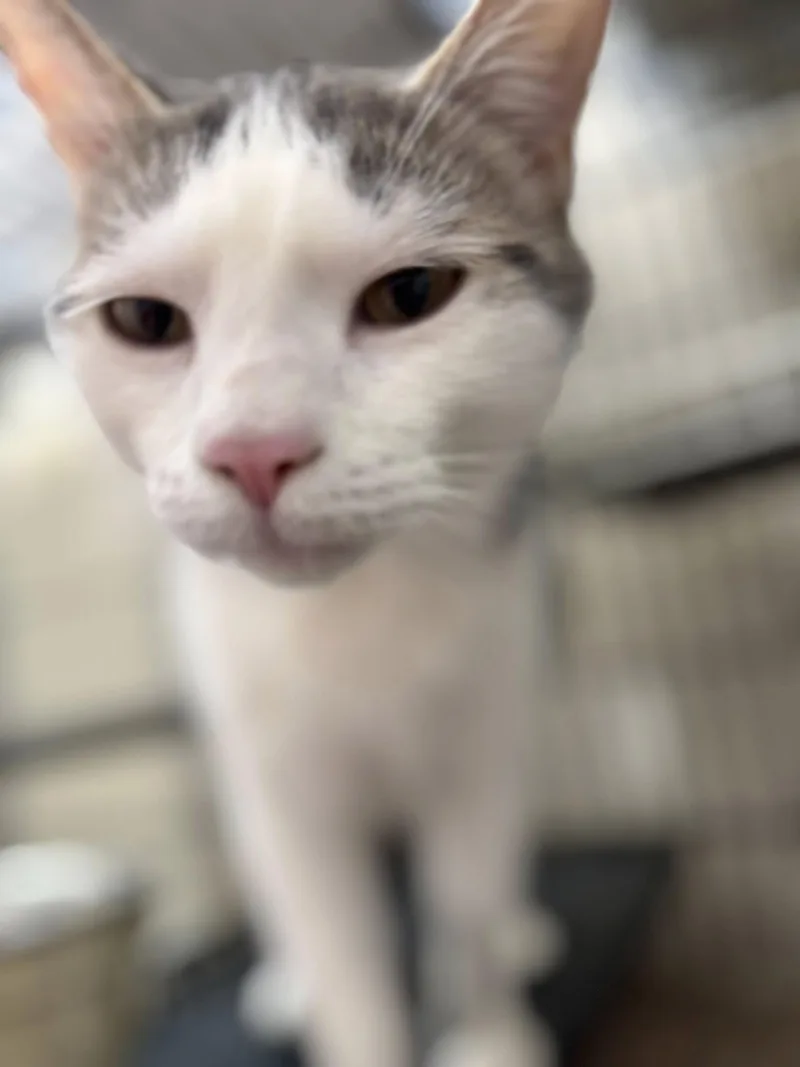 Duncan thumbnail 3