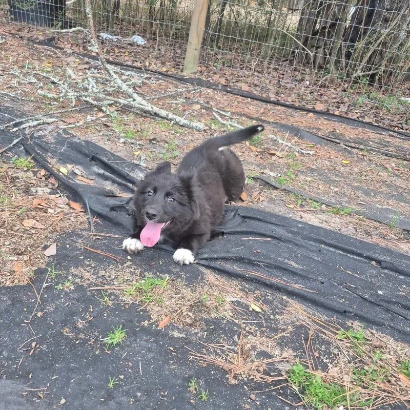 Marceline thumbnail 2