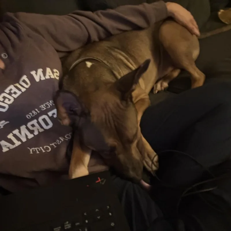Chad thumbnail 3
