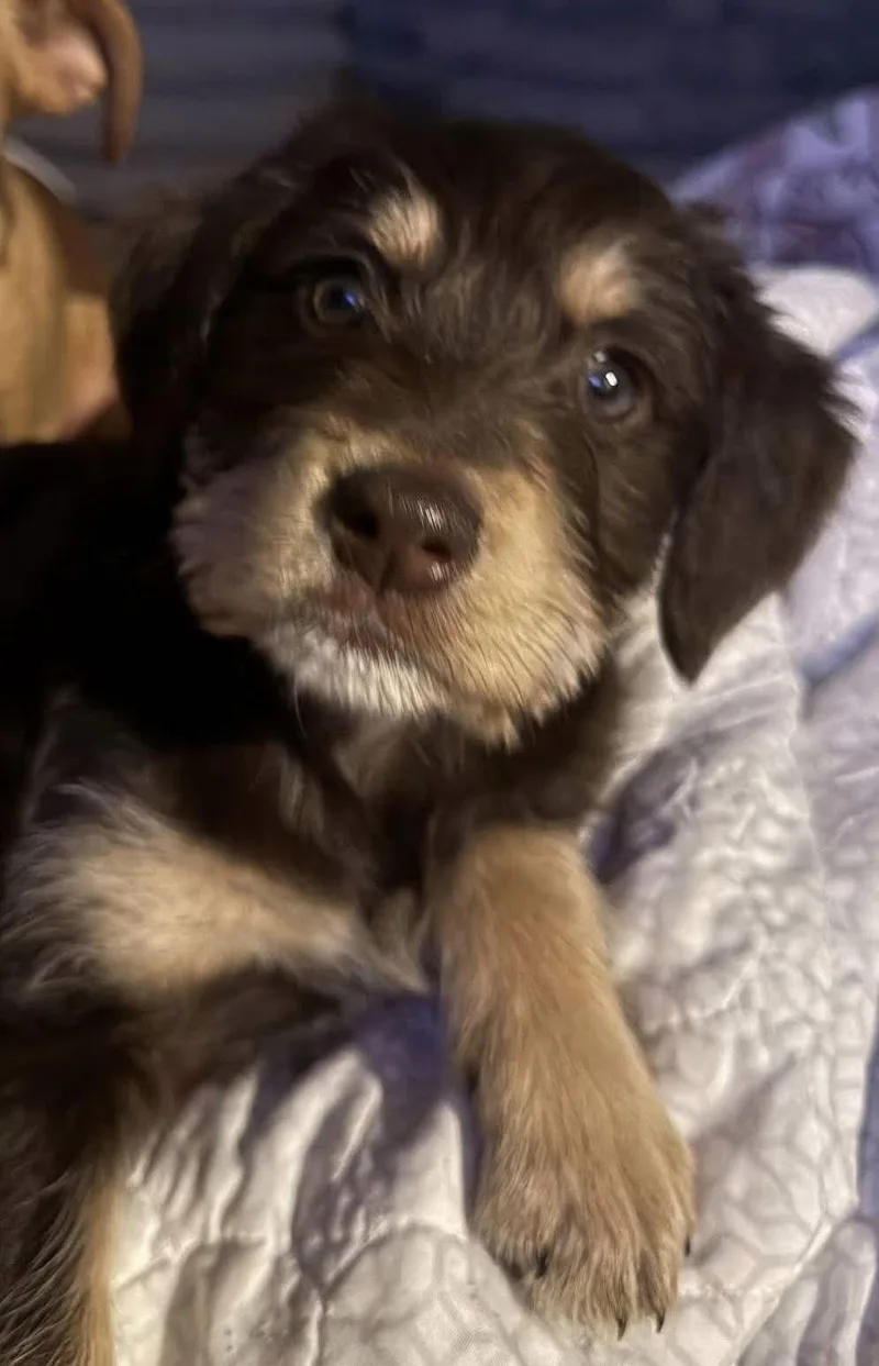 Ellie June thumbnail 2