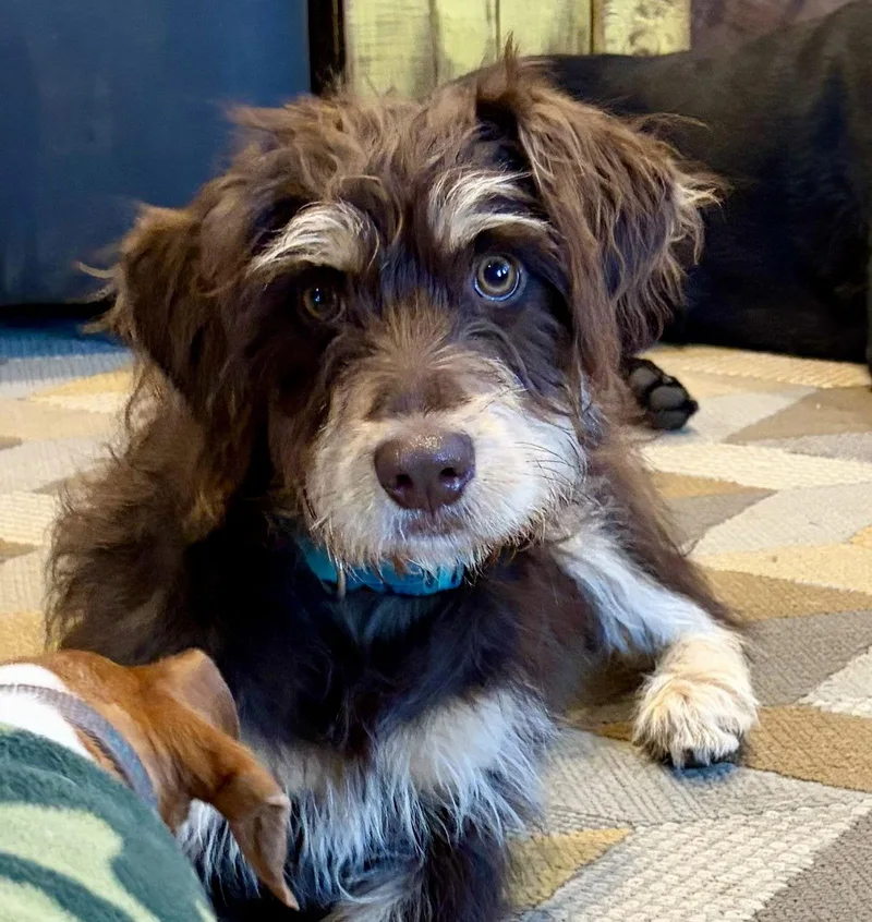 Ellie June thumbnail 3