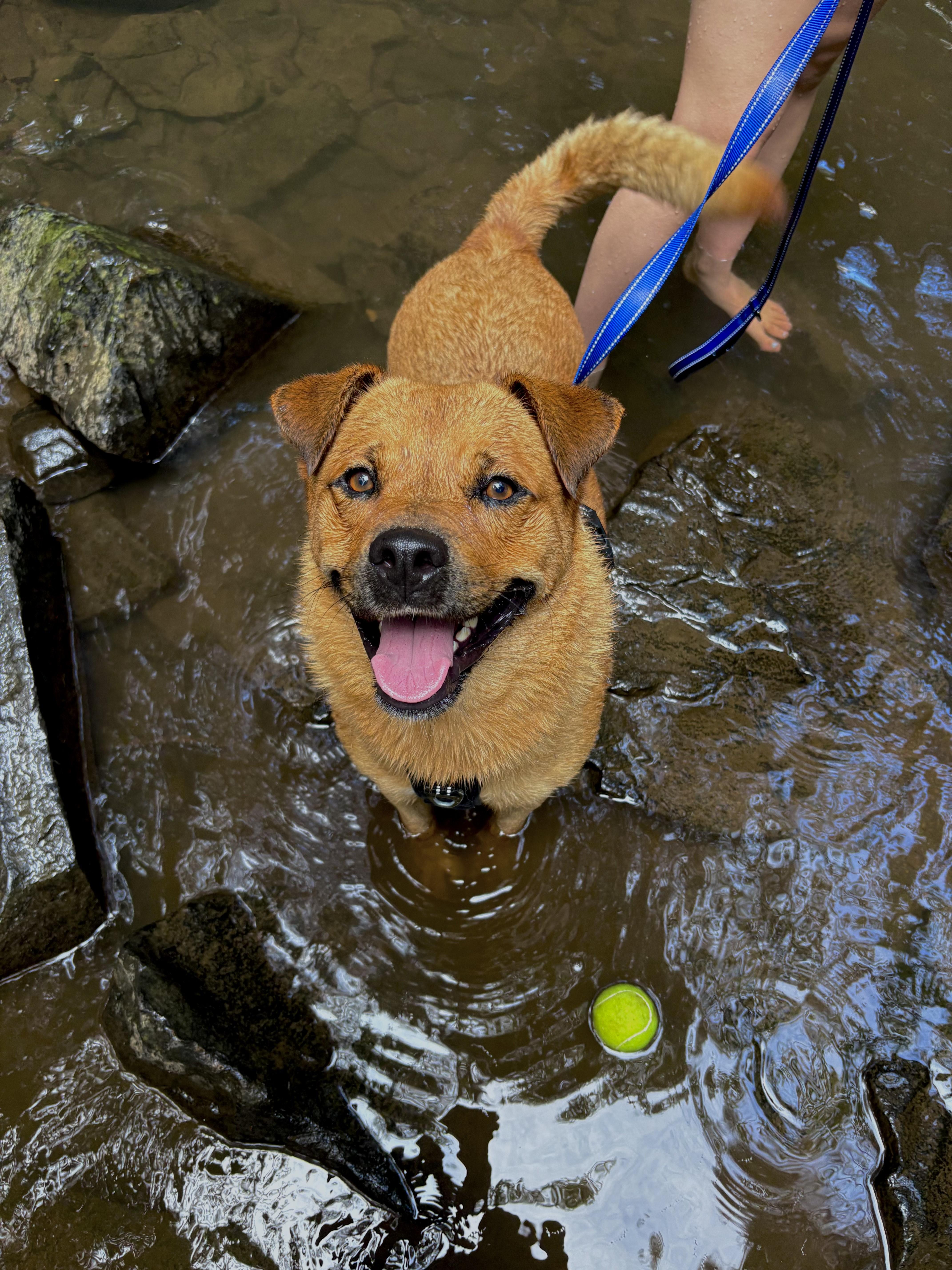 Serena Wiggles thumbnail 2