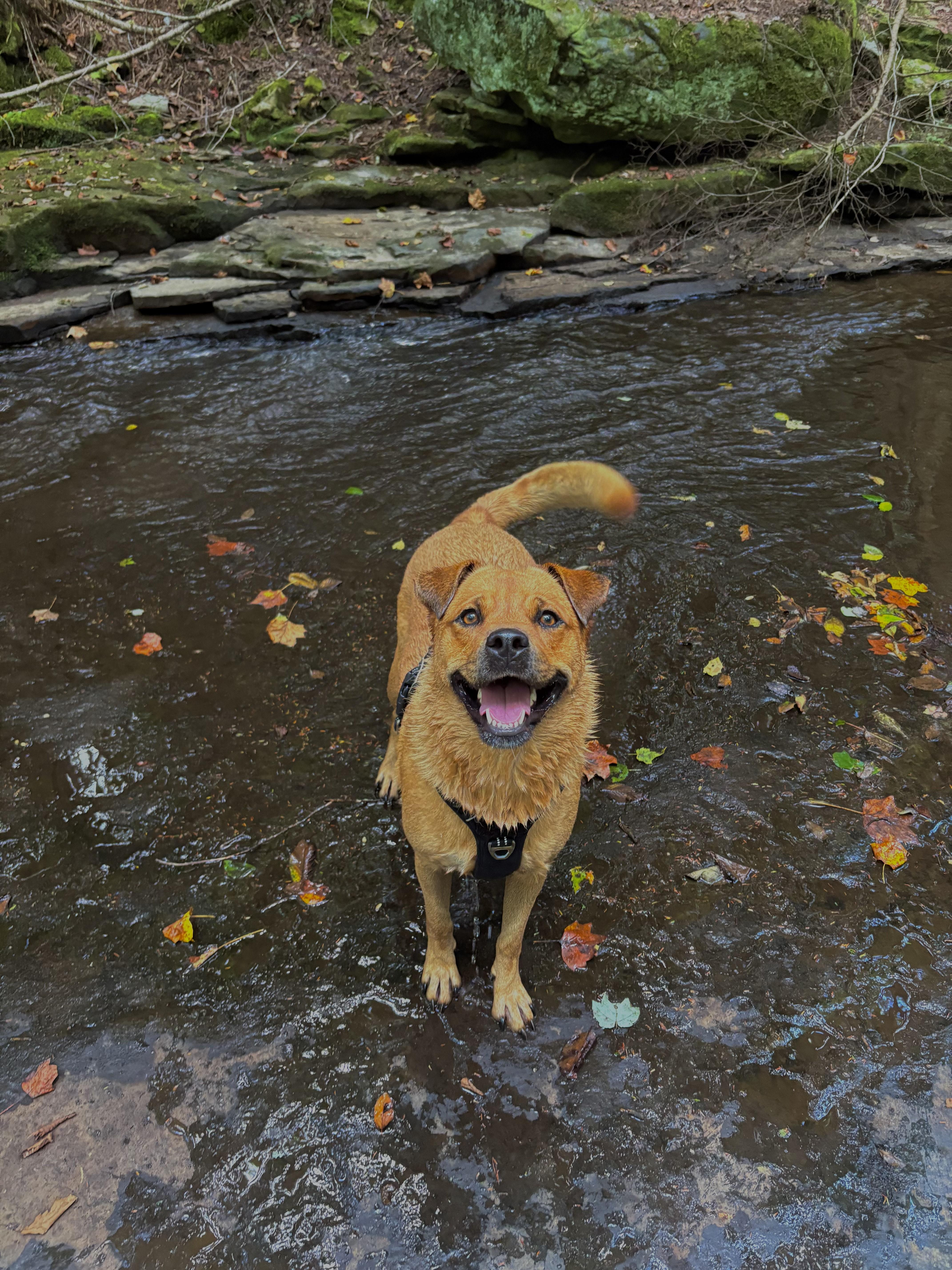 Serena Wiggles thumbnail 3