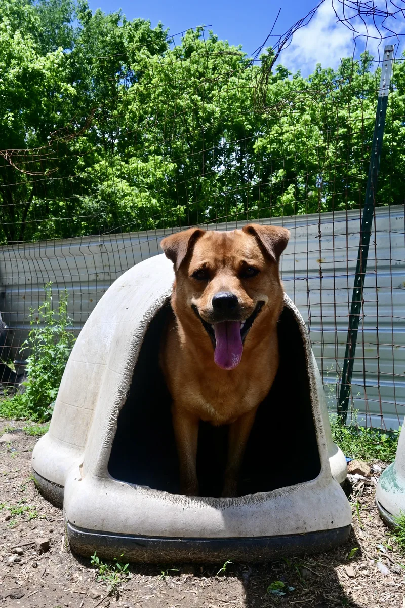 Serena Wiggles thumbnail 5