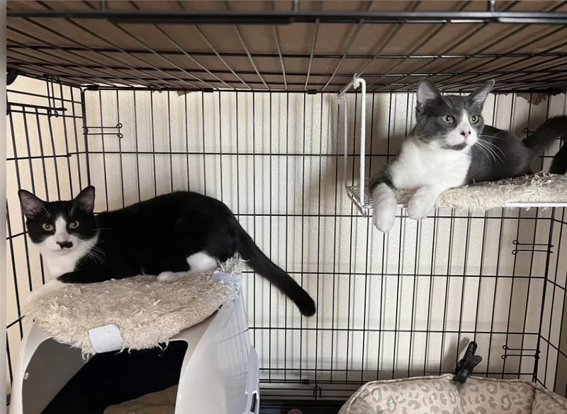 Booger And Groucho thumbnail 3