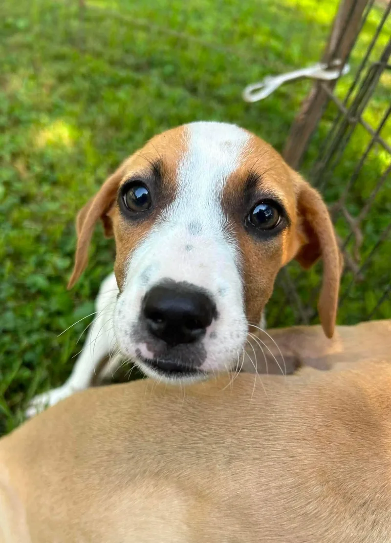 Anna thumbnail 2