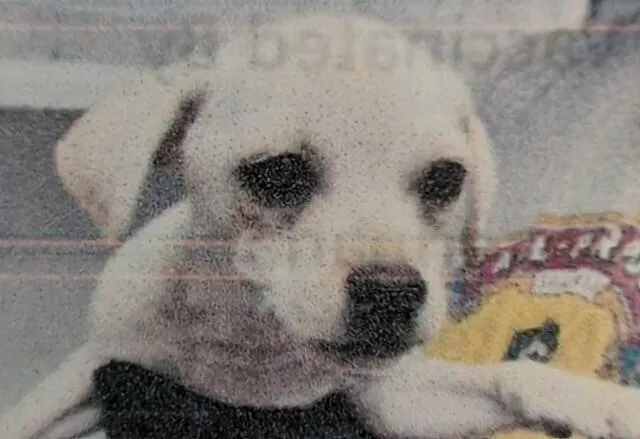 Candy Crush thumbnail 2