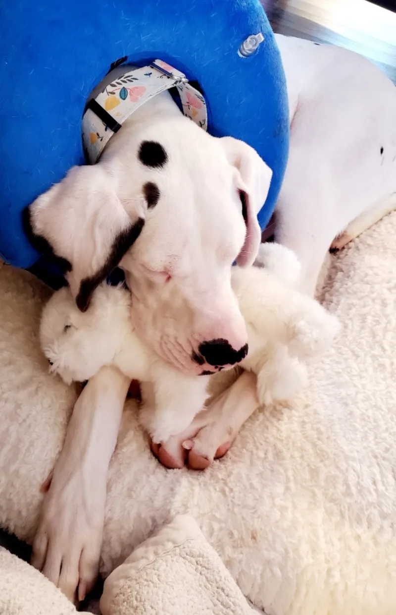 Libby Lou thumbnail 4