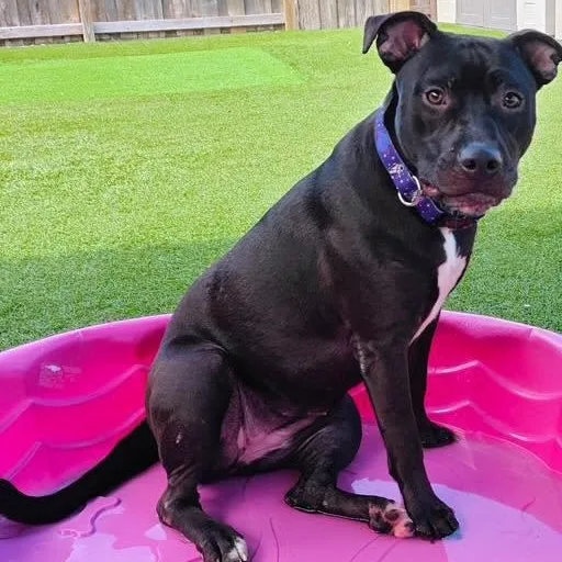 Coco