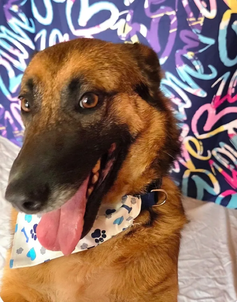 Warionex thumbnail 3