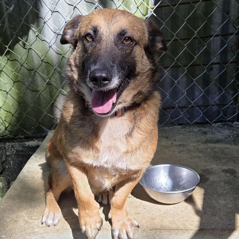 Warionex thumbnail 4