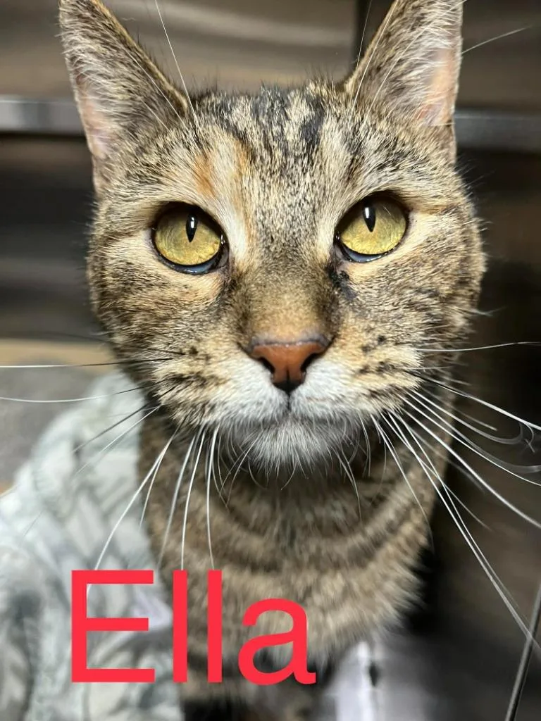Ella