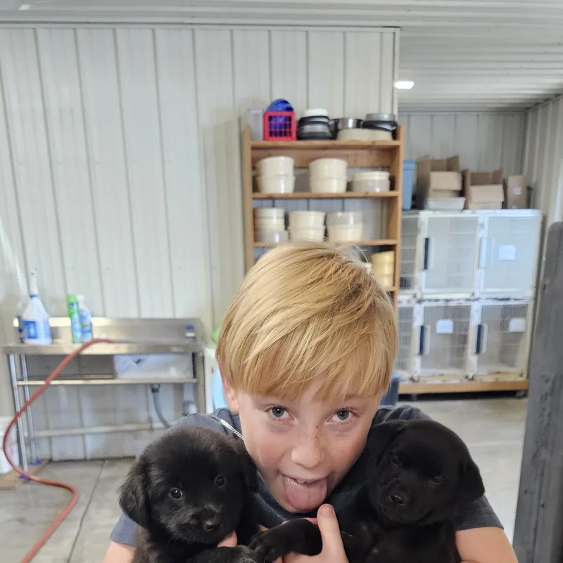 BamBam thumbnail 4