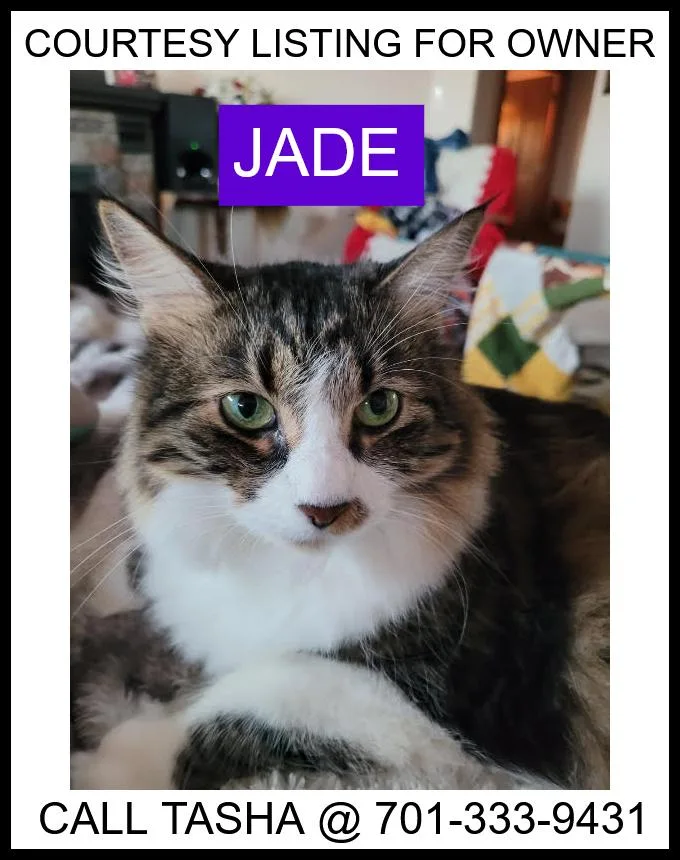 Jade  Courtesy Listing
