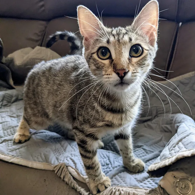 Dark 'n' Stormy thumbnail 2