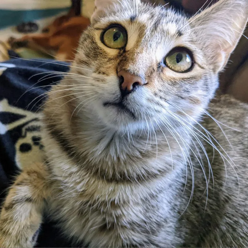 Dark 'n' Stormy thumbnail 3