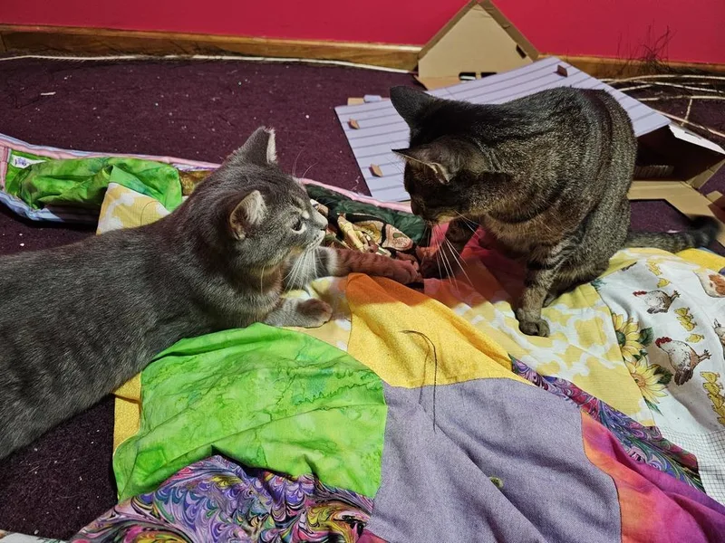 Mark Twain thumbnail 5