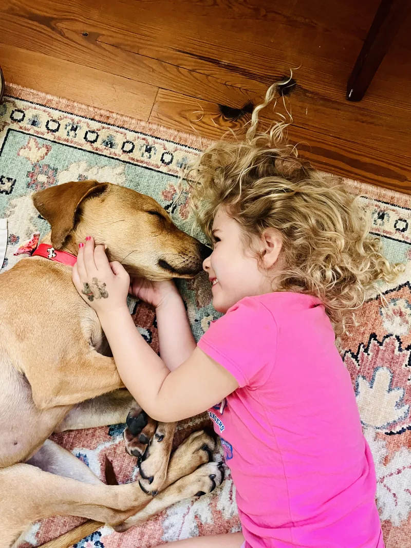 Theodore thumbnail 2