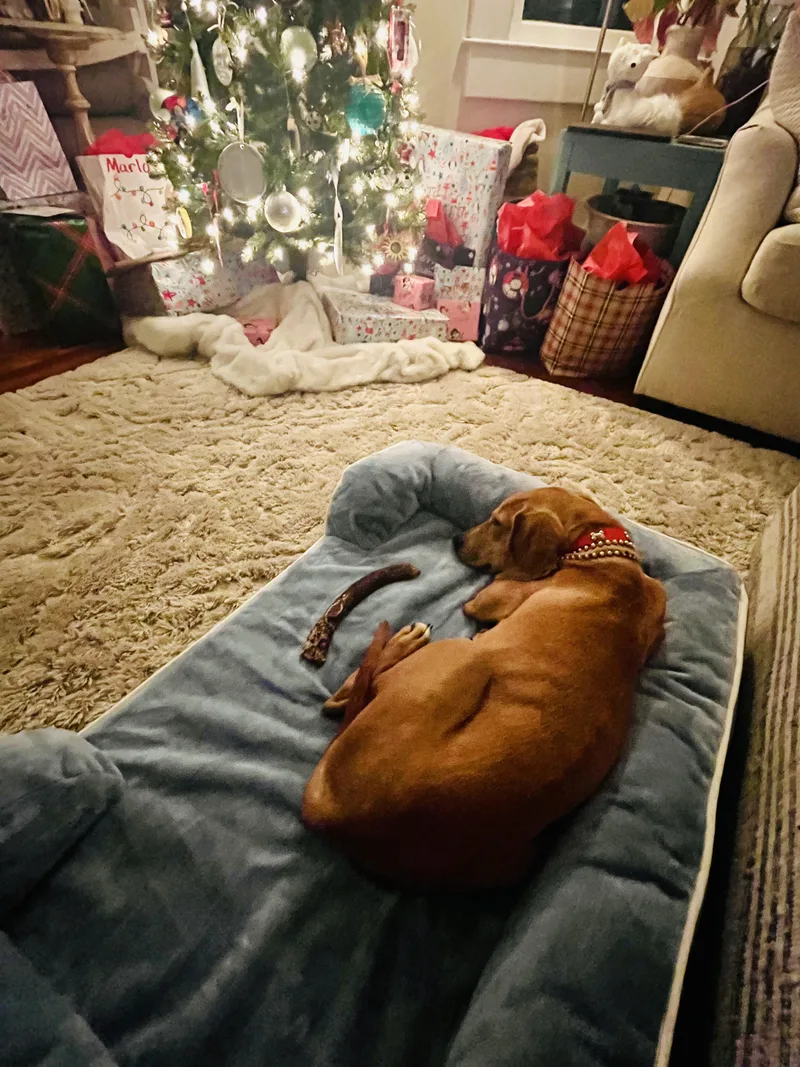 Theodore thumbnail 3