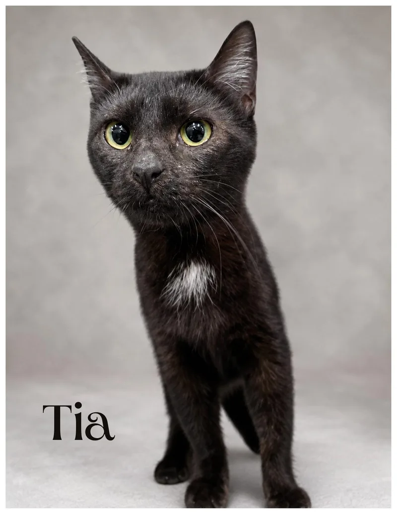 Tia thumbnail 2