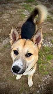 Jackie O thumbnail 2