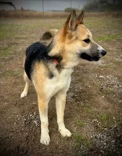 Jackie O thumbnail 3