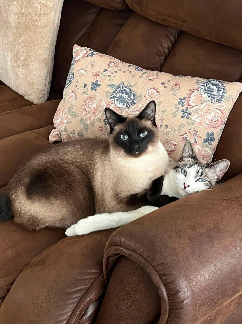 Mars and Belle thumbnail 4