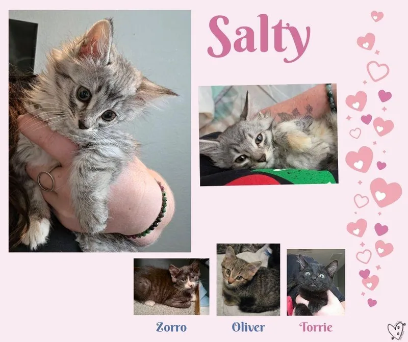 Salty thumbnail 5