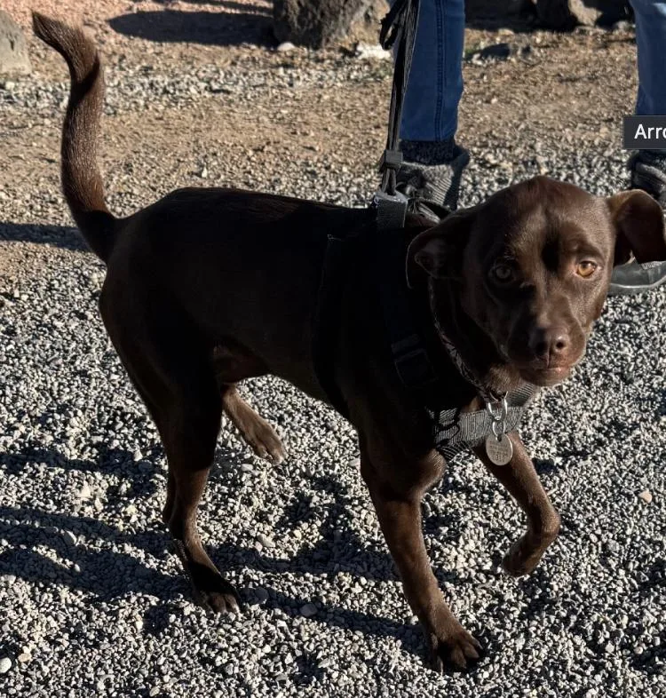 Little Man thumbnail 2