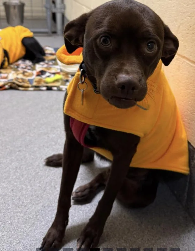 Little Man thumbnail 3