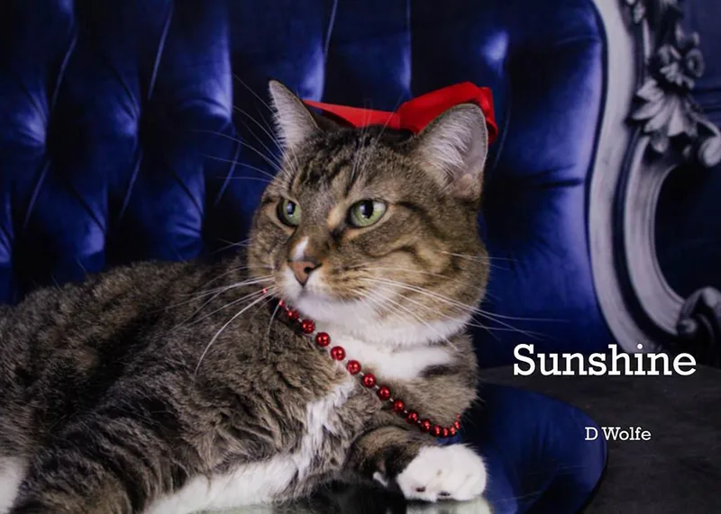 Sunshine thumbnail 2