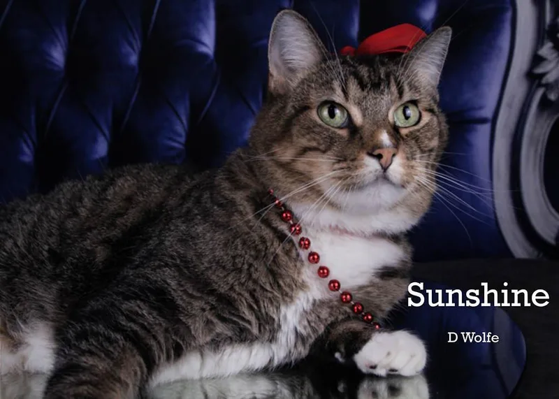 Sunshine thumbnail 3