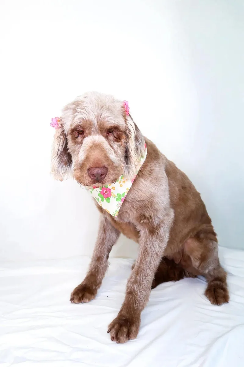 Mary J Blige thumbnail 2