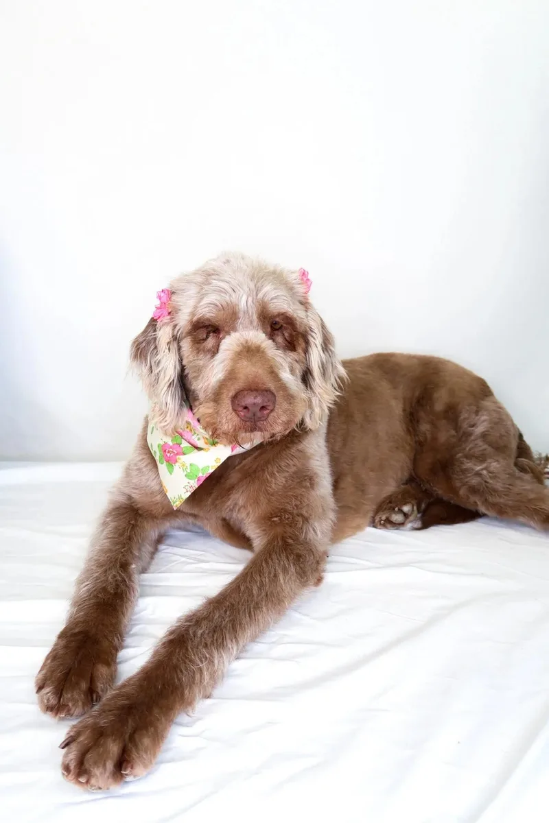 Mary J Blige thumbnail 3