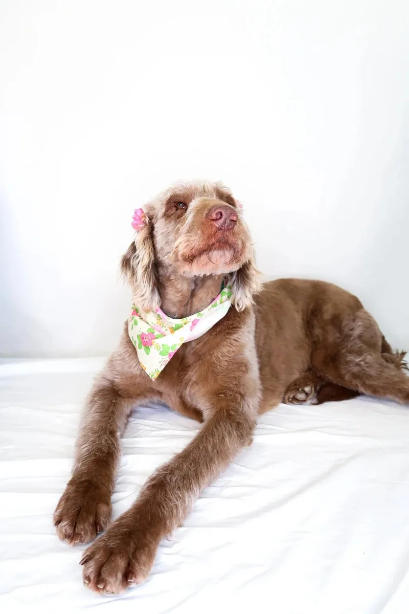 Mary J Blige thumbnail 4