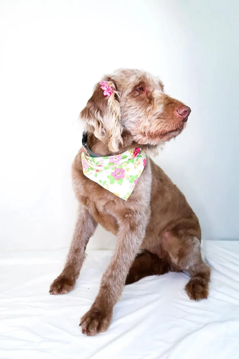 Mary J Blige thumbnail 5