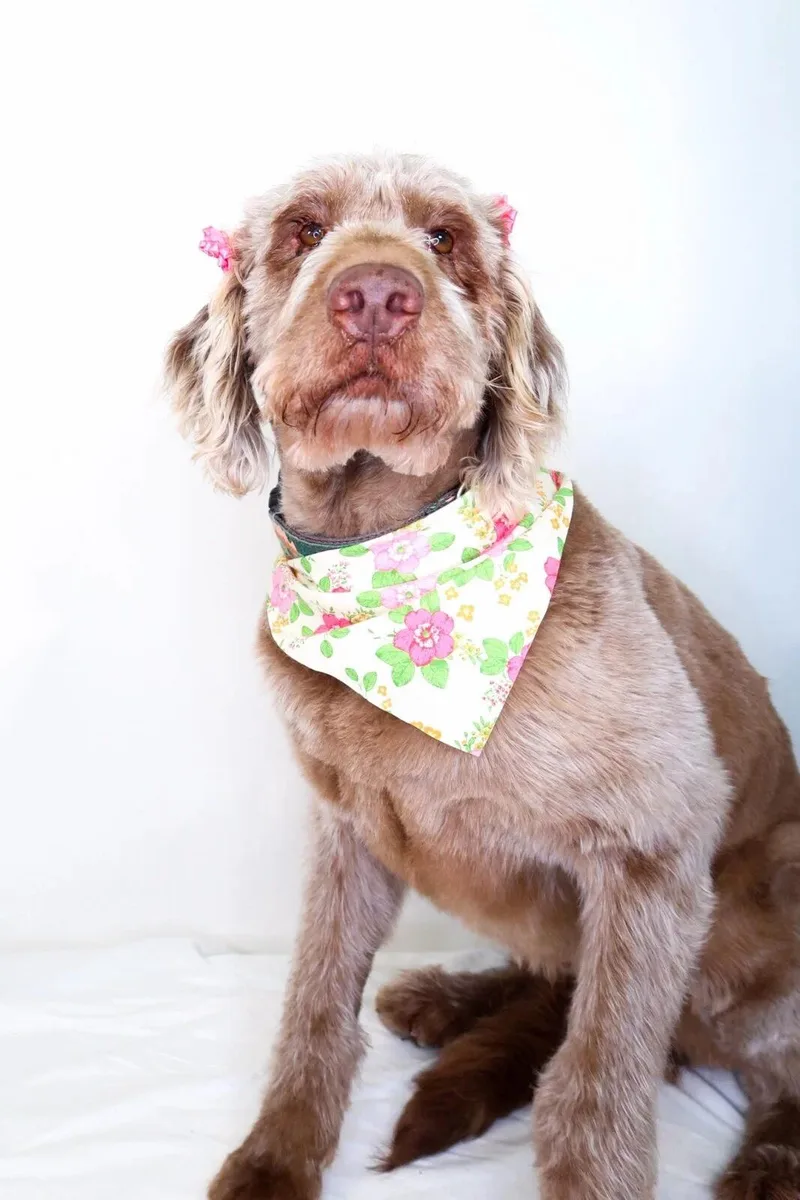 Mary J Blige thumbnail 6