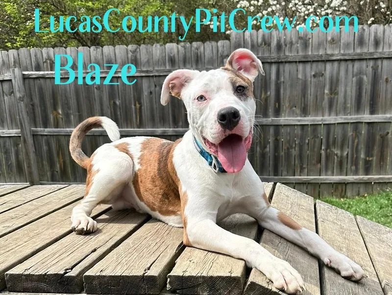 Blaze