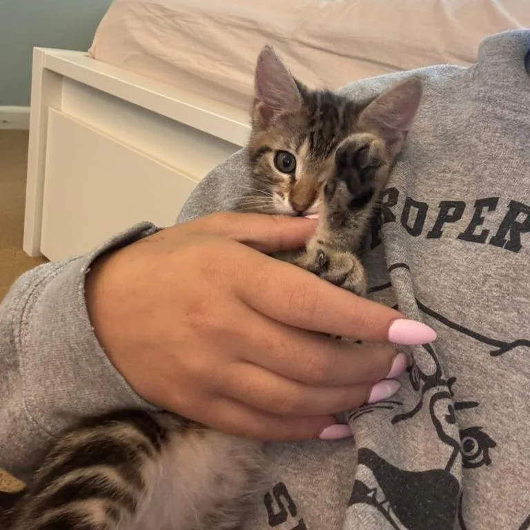 Nala thumbnail 2