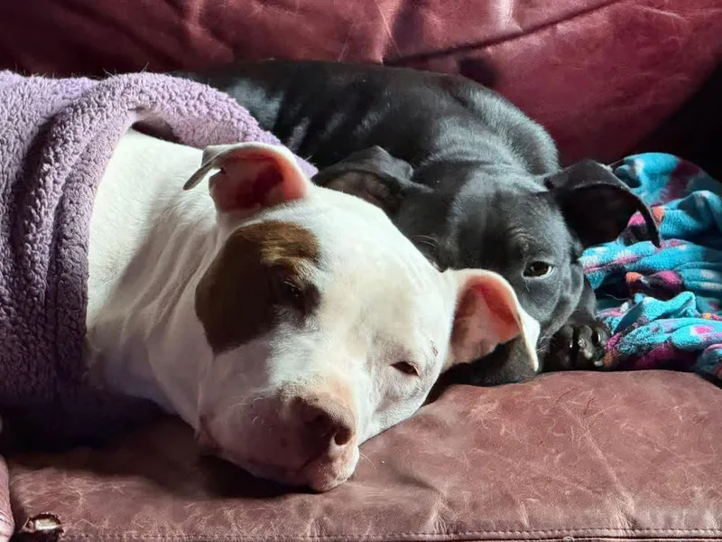 Kate Hudson thumbnail 2