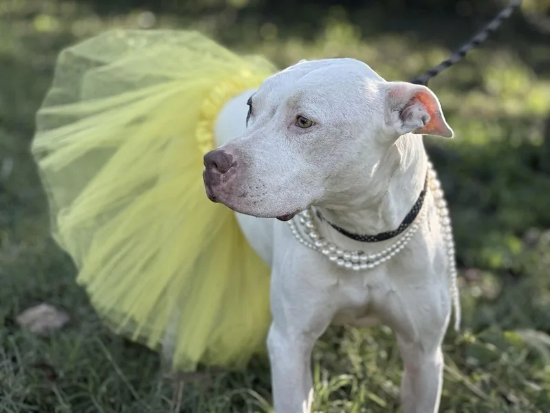 Kate Hudson thumbnail 3