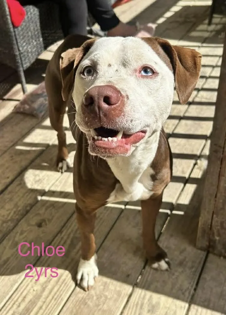 Chloe