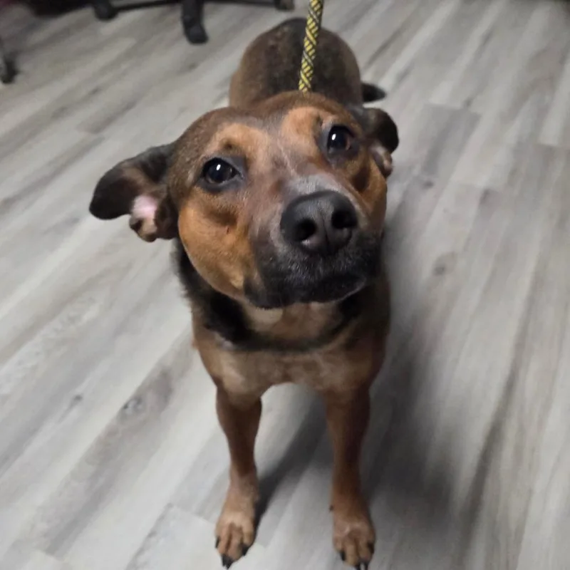 Juice Box thumbnail 2