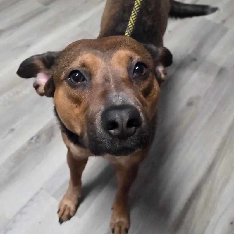 Juice Box thumbnail 3